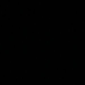 Meet your Posher, Shay